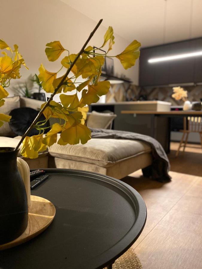 Boosko Me 2 Apartman Busko-Zdrój Kültér fotó