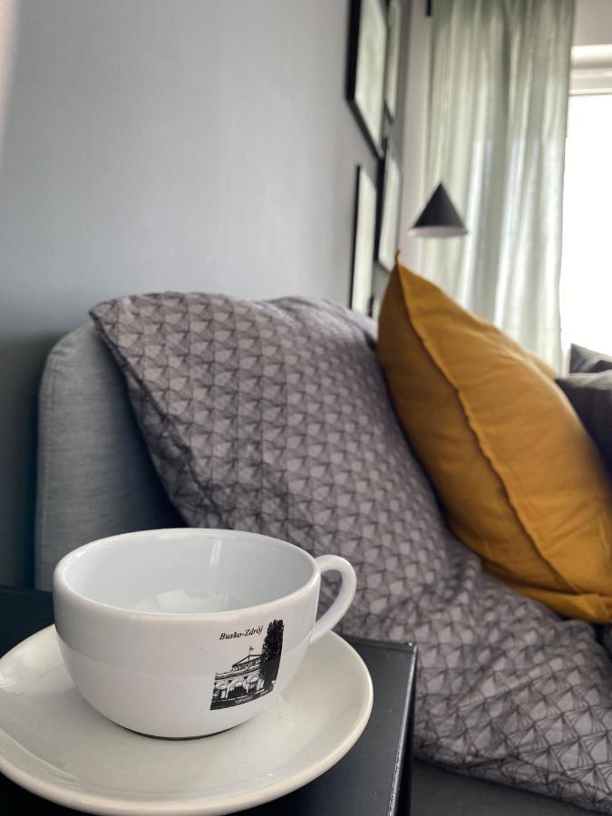 Boosko Me 2 Apartman Busko-Zdrój Kültér fotó